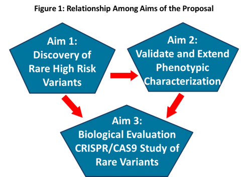 Description of Grant Aims